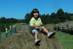 resIMG_20141004_125452_3380.JPG